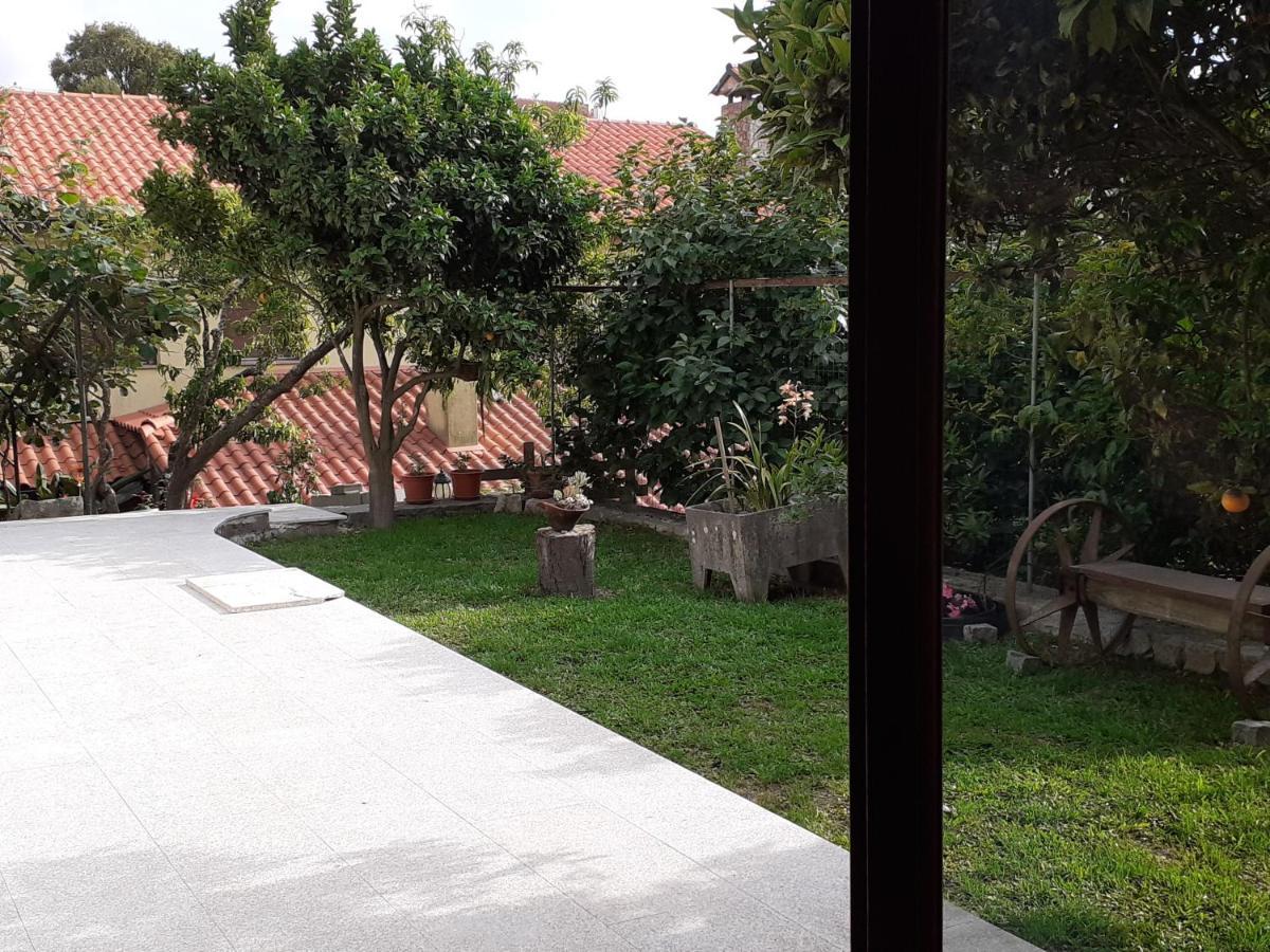 Casa De Santa Luzia A Lejlighed Vila Praia de Âncora Eksteriør billede