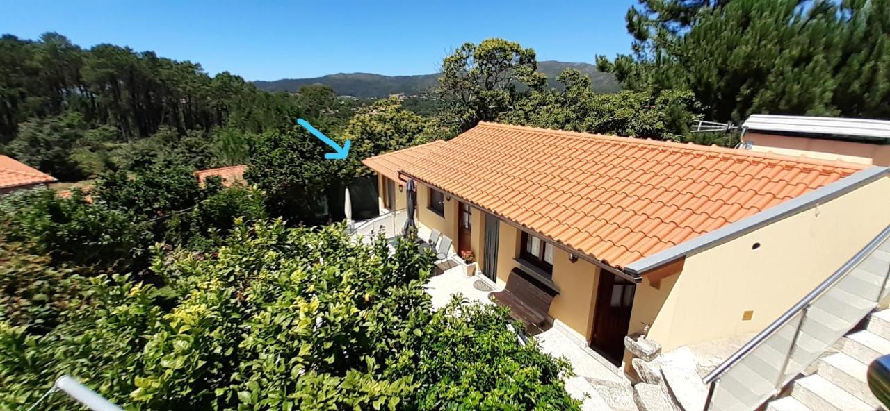 Casa De Santa Luzia A Lejlighed Vila Praia de Âncora Eksteriør billede