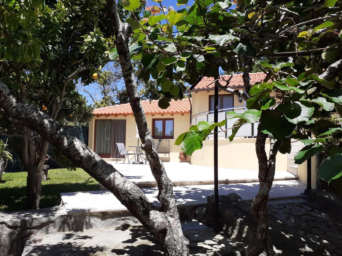 Casa De Santa Luzia A Lejlighed Vila Praia de Âncora Eksteriør billede