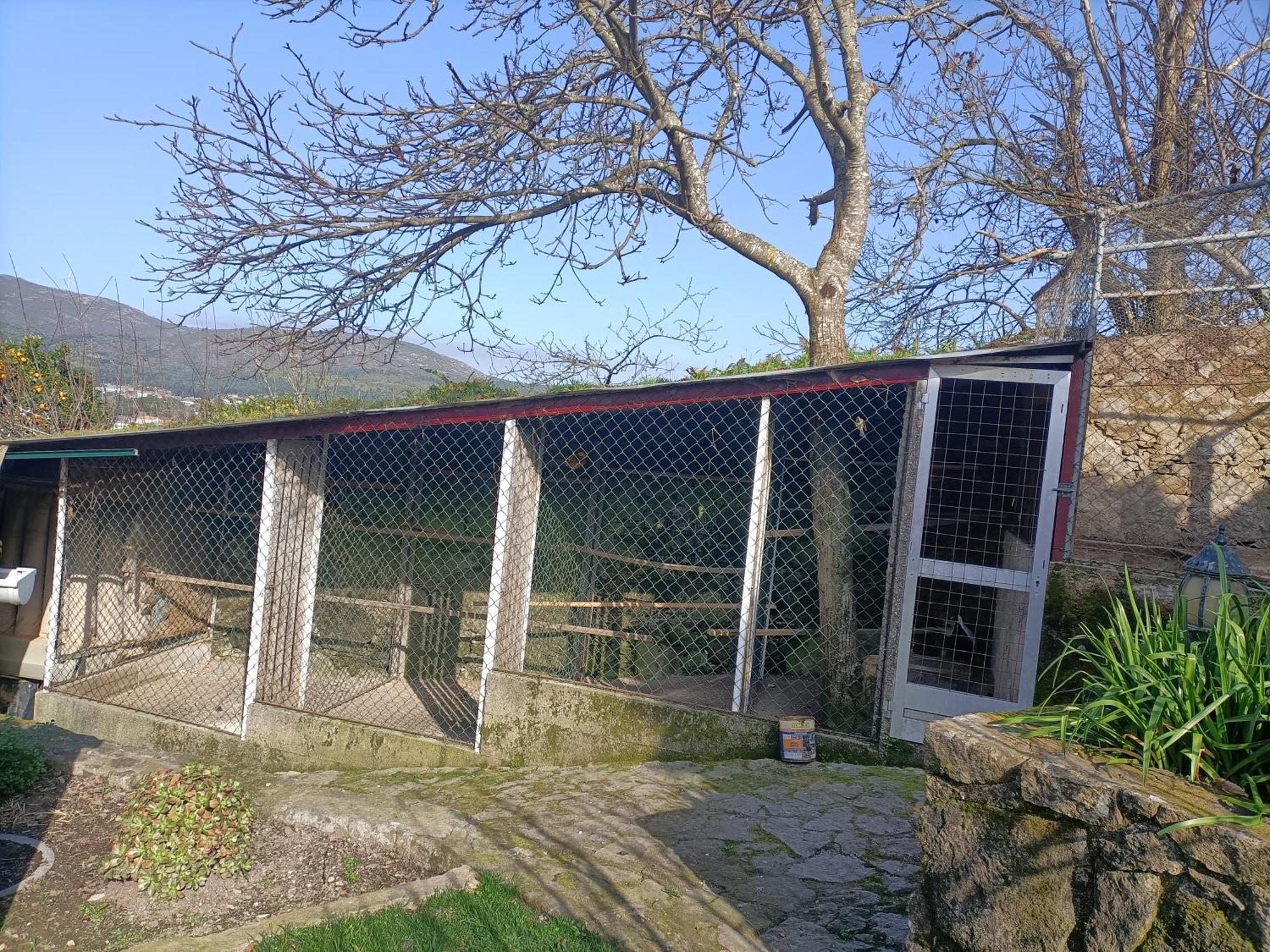 Casa De Santa Luzia A Lejlighed Vila Praia de Âncora Eksteriør billede