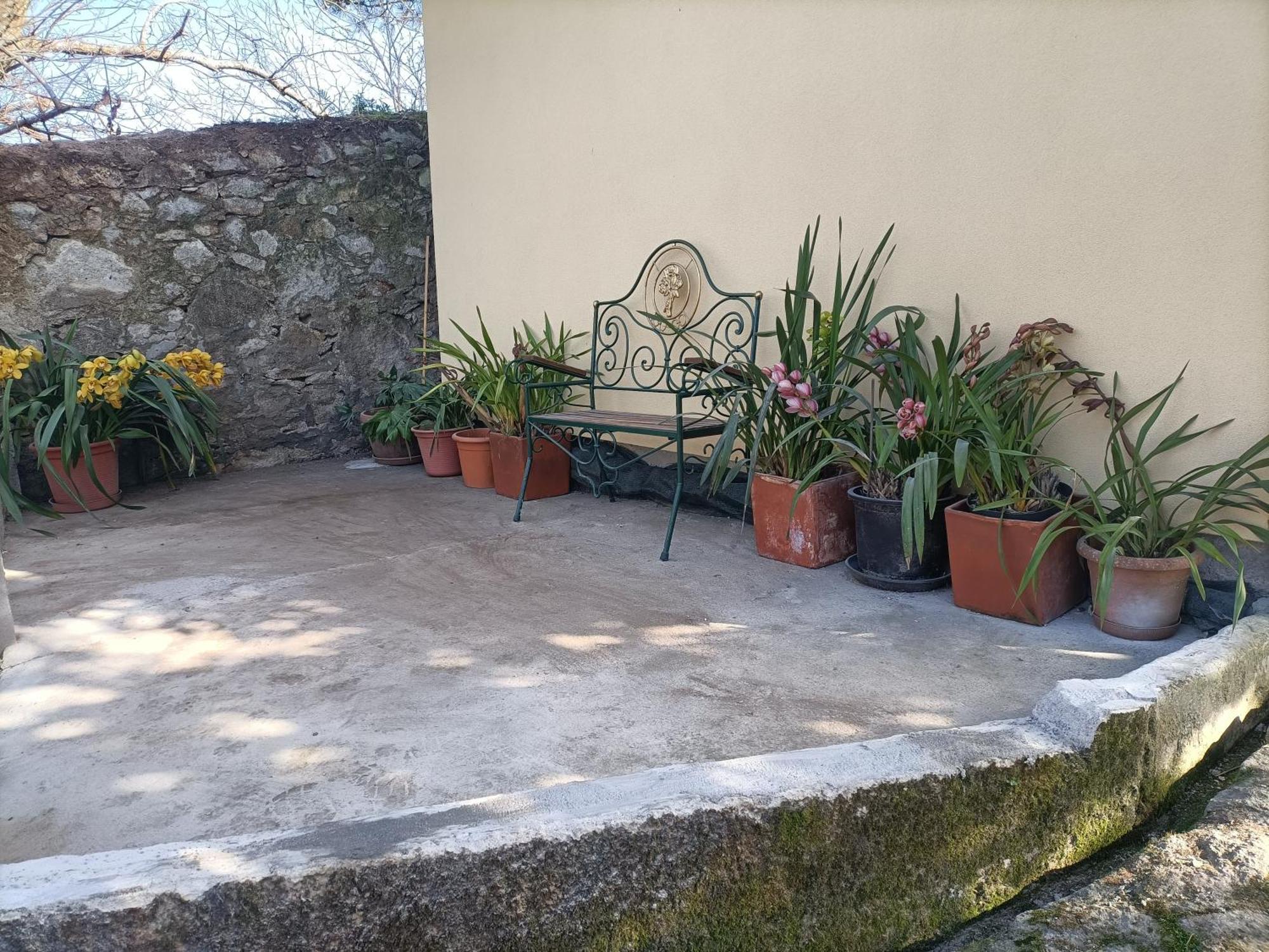 Casa De Santa Luzia A Lejlighed Vila Praia de Âncora Eksteriør billede