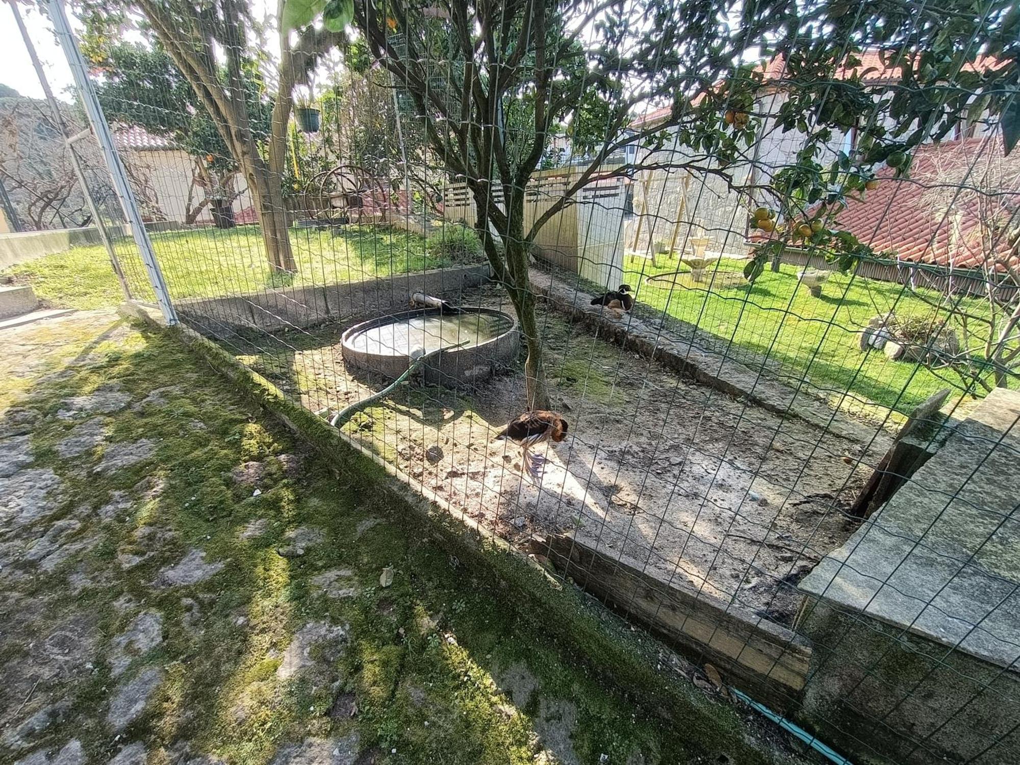 Casa De Santa Luzia A Lejlighed Vila Praia de Âncora Eksteriør billede